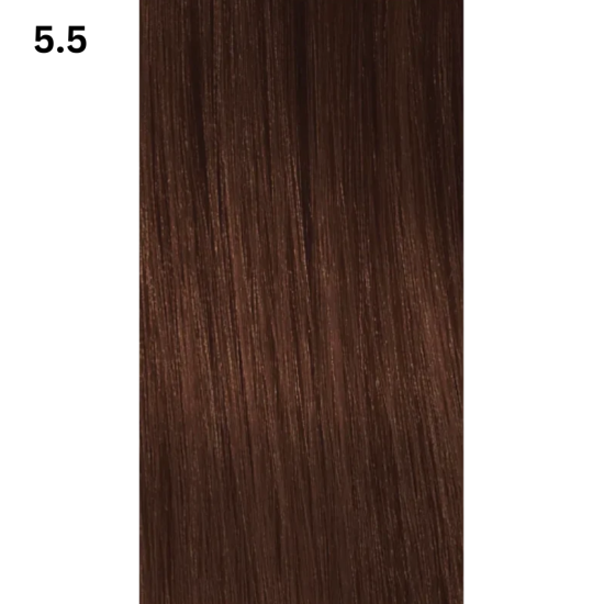 Vopsea INSIGHT Incolor MAHOGANY